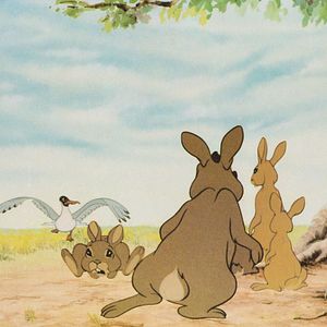 Bilder Watership Down - Unten am Fluß