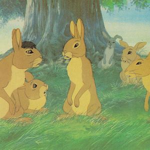 Bilder Watership Down - Unten am Fluß