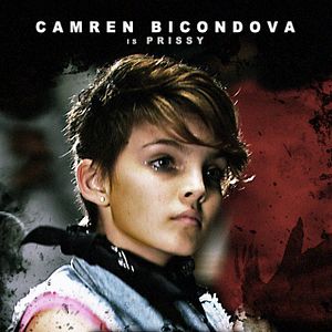 Bilder Battlefield America