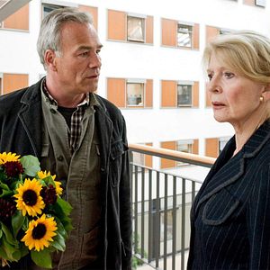 Bilder Wie ein Licht in der Nacht