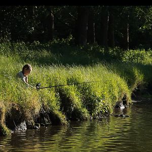 Bilder Auf leisen Pfoten