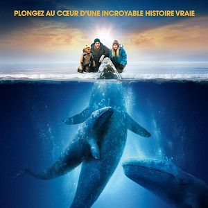 Bilder Der Ruf der Wale