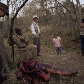 Bilder Night Drive - Hyänen des Todes