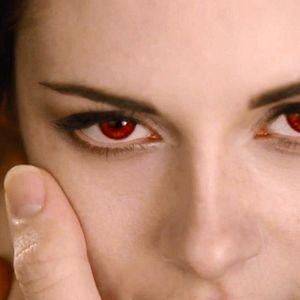 Bilder Stephenie Meyer