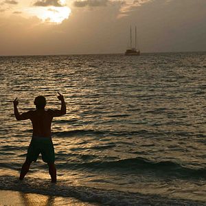 Bilder Caught Inside