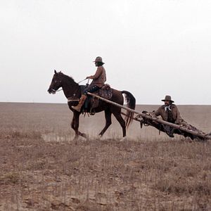 Bilder Begrabt die Wölfe in der Schlucht