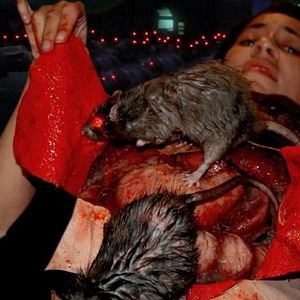 Bilder Rat Scratch Fever