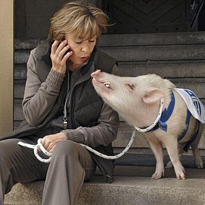 Bilder 1:0 für das Glück