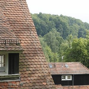 Bilder Und wir sind nicht die Einzigen