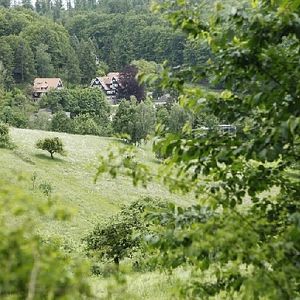 Bilder Und wir sind nicht die Einzigen