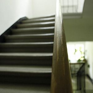 Bilder Und wir sind nicht die Einzigen