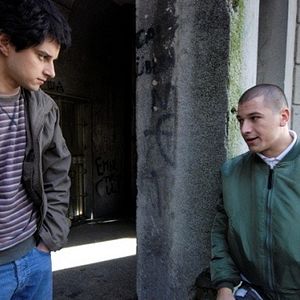 Bilder Skinning - Wir sind das Gesetz