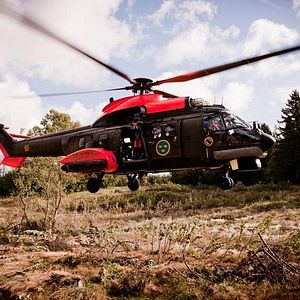 Bilder Night Hunt - Die Zeit des Jägers