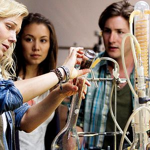 Bilder Die Saat des Bösen