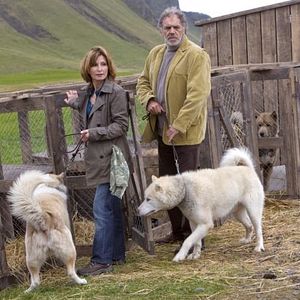 Bilder Island - Herzen im Eis