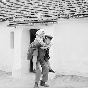 Bilder Rosige Träume