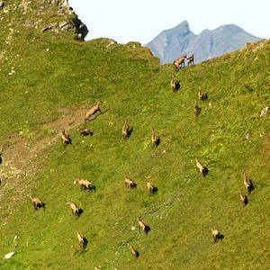 Bilder Deutschland von oben