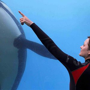 Bilder Der Geschmack von Rost und Knochen