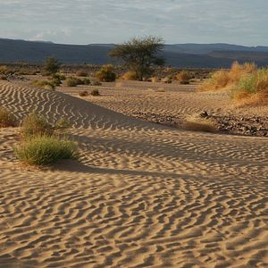 Bilder Allein die Wüste