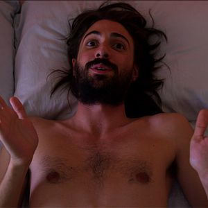 Bilder American Animal