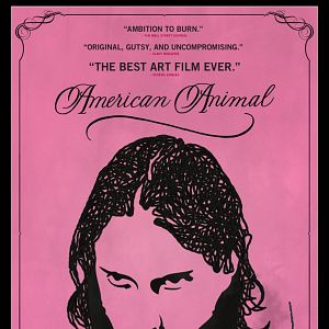 Bilder American Animal