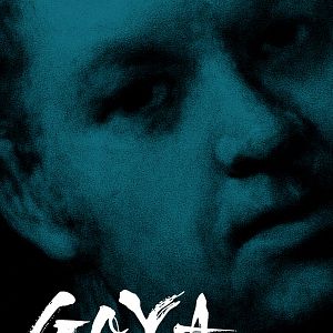 Bilder Goya, el secreto de la sombra
