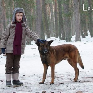 Bilder Ricardo Trénor