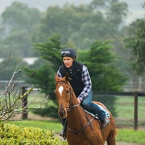 Bilder Stephen Curry