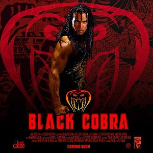 Bilder Black Cobra