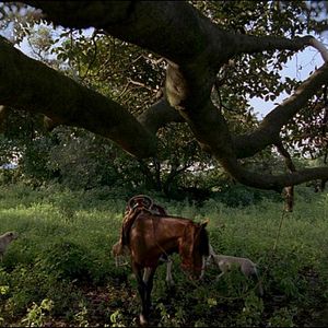 Bilder Post Tenebras Lux