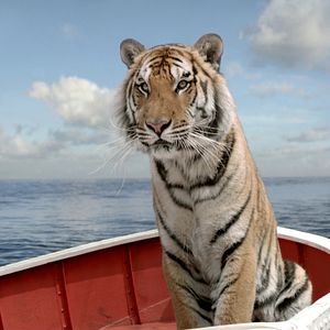 Bilder Life of Pi: Schiffbruch mit Tiger