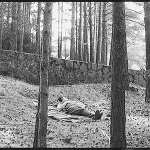 Bilder Dream and Silence