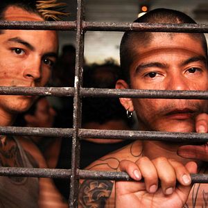 Bilder Get The Gringo