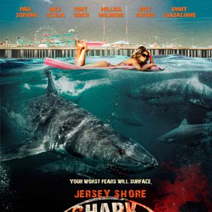 Bilder Jersey Shore Shark Attack