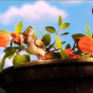 Bilder Plumíferos, aventuras voladoras