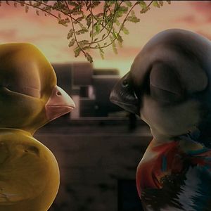 Bilder Plumíferos, aventuras voladoras