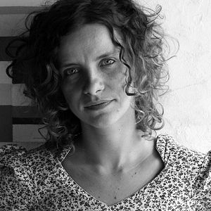 Bilder Porcos Raivosos