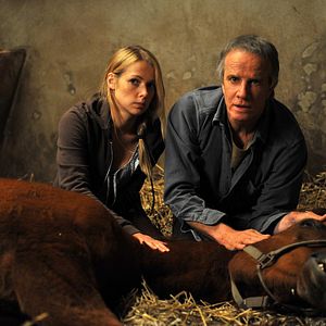 Bilder Fleur Lise Heuet