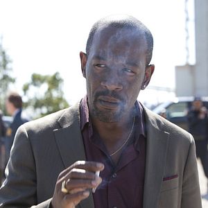 Bilder Low Winter Sun (2013)