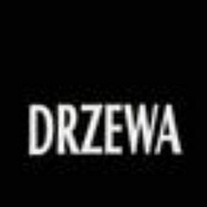 Bilder Drzewa
