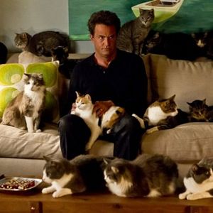 Bilder Matthew Perry
