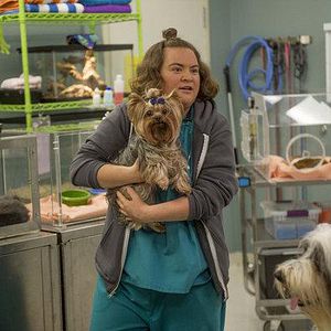 Bilder Animal Practice