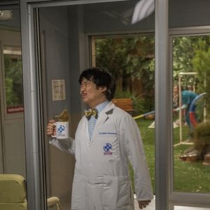 Bilder Animal Practice