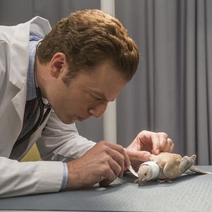 Bilder Animal Practice