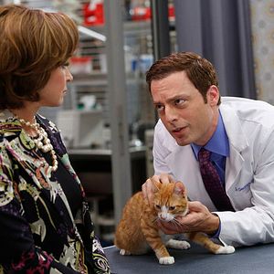 Bilder Animal Practice