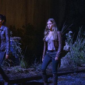 Bilder Tracy Spiridakos