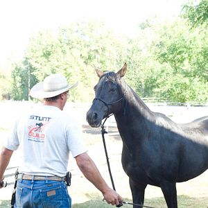 Bilder Flicka 3 - Beste Freunde