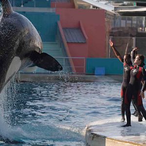 Bilder Der Geschmack von Rost und Knochen