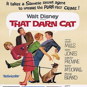 Bilder Alles für die Katz