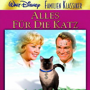 Bilder Alles für die Katz